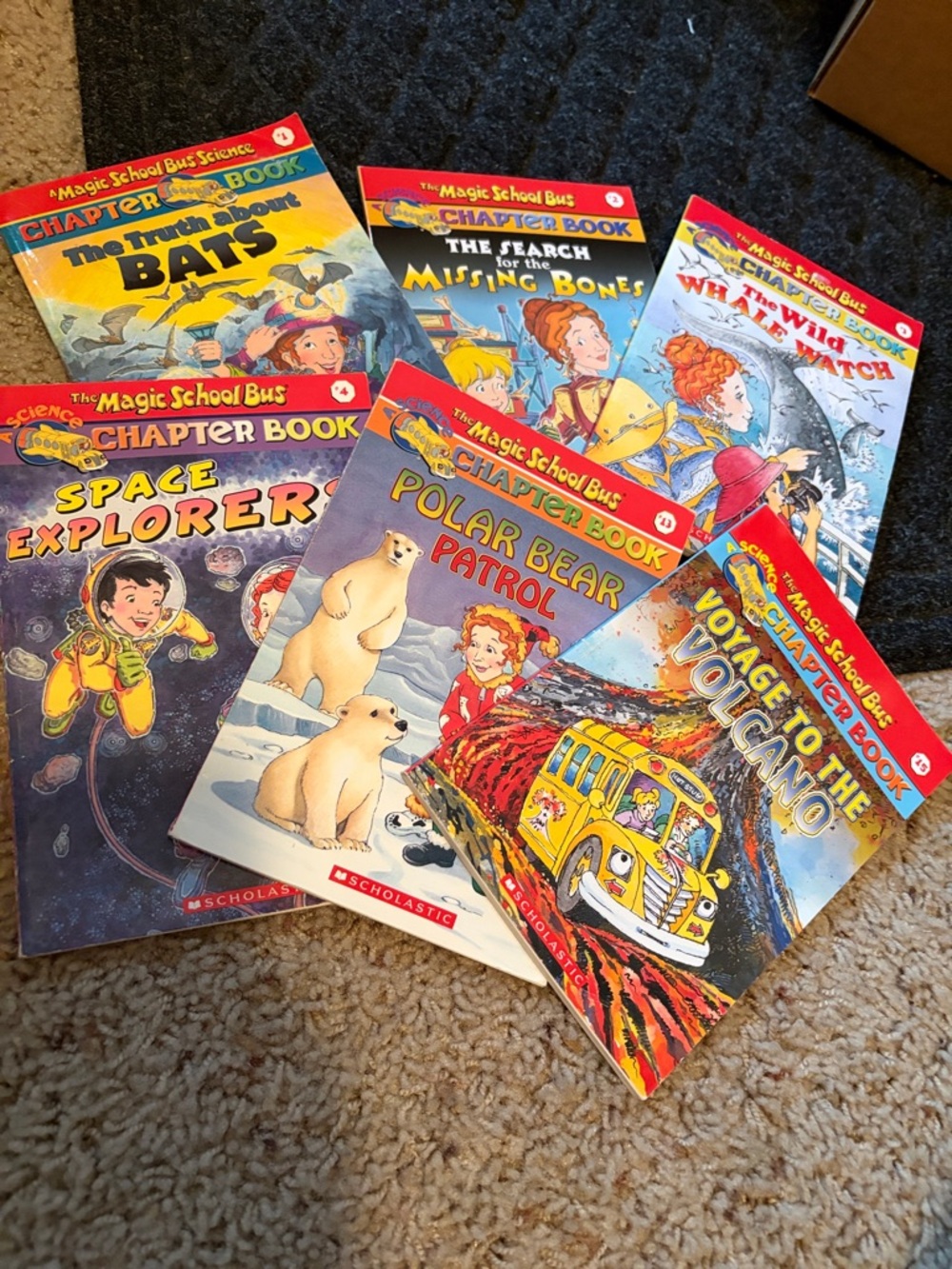 6 PC LOT Magic School Bus CHAPTER Books Children's Book SCIENCE Series VARIETY